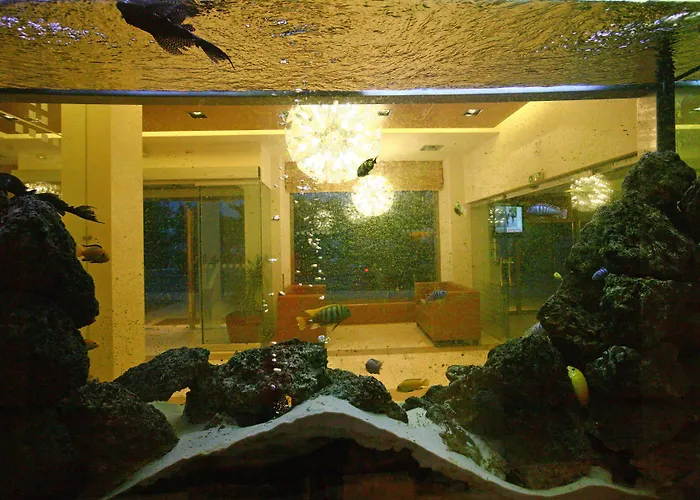 Flisvos Kalamata
